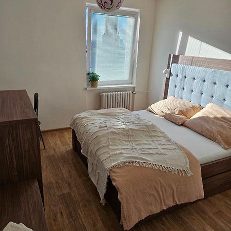 Byt V Centru Frydku-Mistku Frýdek-Místek Exterior foto